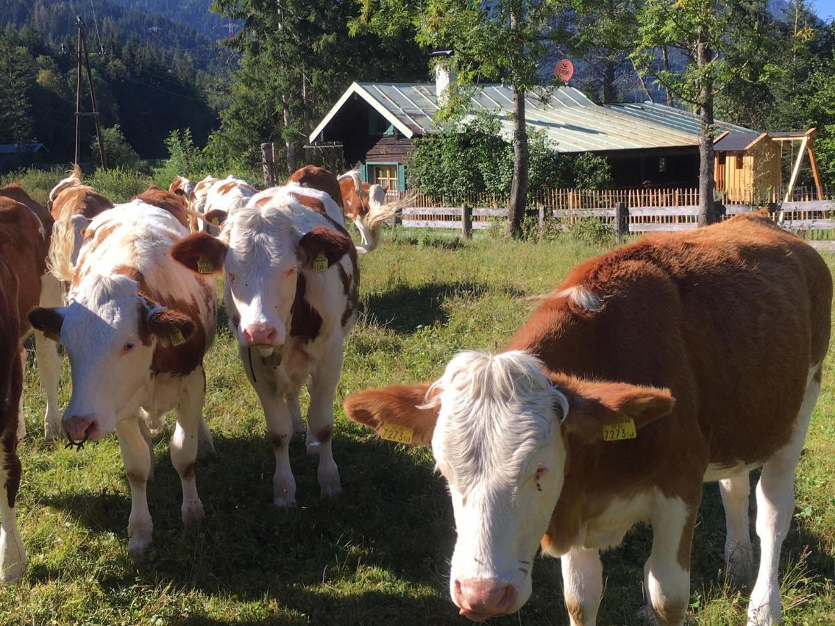 Knusperhauschen Sonnegg Flachau Exterior foto